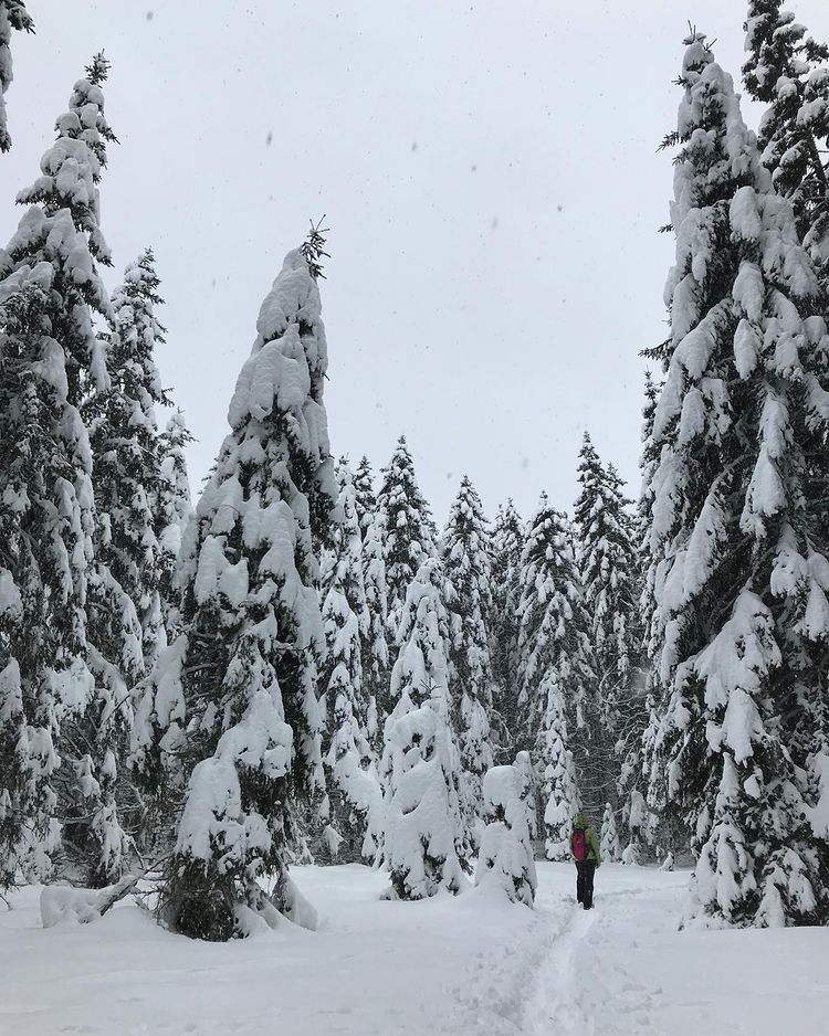 Happy New Year! Let it be as magical as Mother Nature during the winter time in Slovenian mountain area. 
#ifeelsLOVEnia #mojaslovenija #staysafe #sloveniaoutdoor