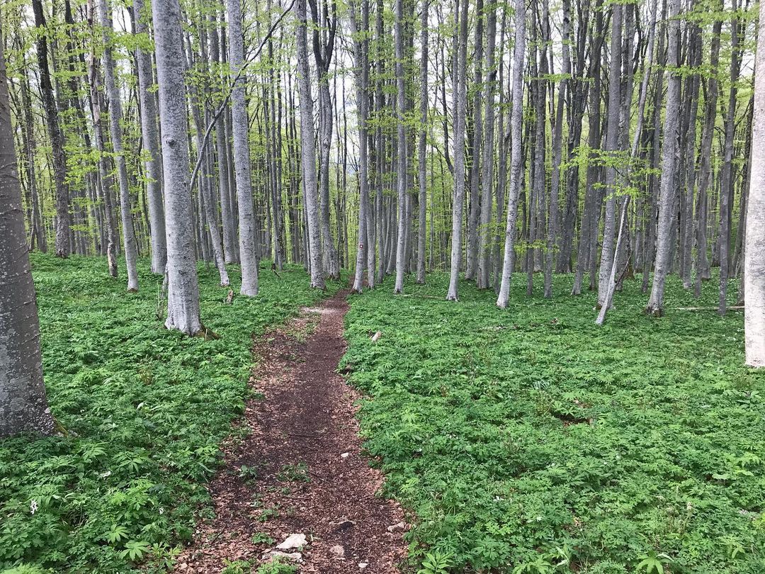 Happy New Year 2022! Let it be flourishing, all mighty, inspiring, beautiful as Mother Nature details from year 2021.