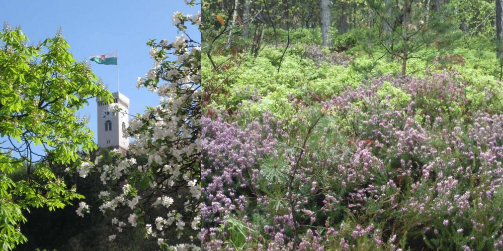 Spring seasons in Ljubljana