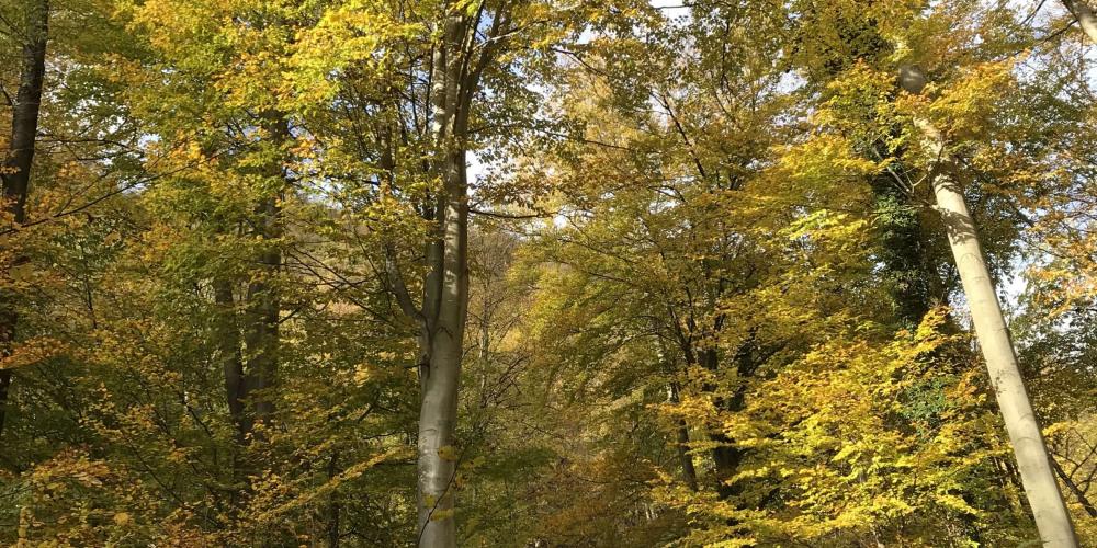 Autumn seasons in Ljubljana, The Tivoli, Rožnik and Šiška Hill Landscape Park