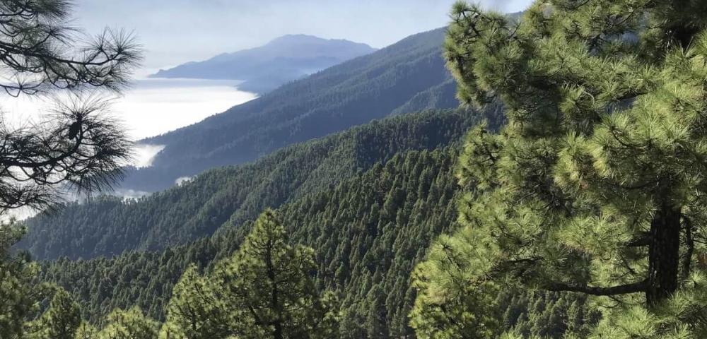 Nacionalni park La Caldera de Taburiente, pohodništvo Kanarski otoki, La Palma
