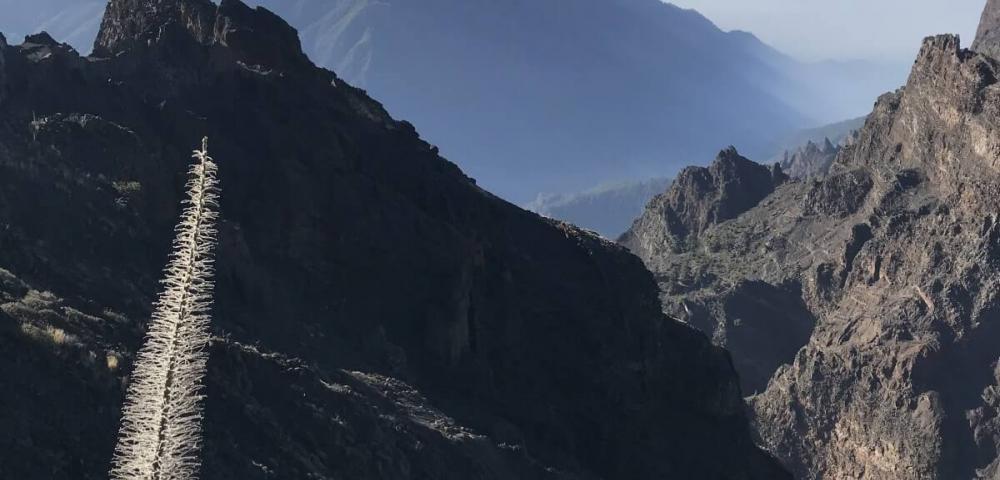 Nacionalni park La Caldera de Taburiente, pohodništvo Kanarski otoki, La Palma