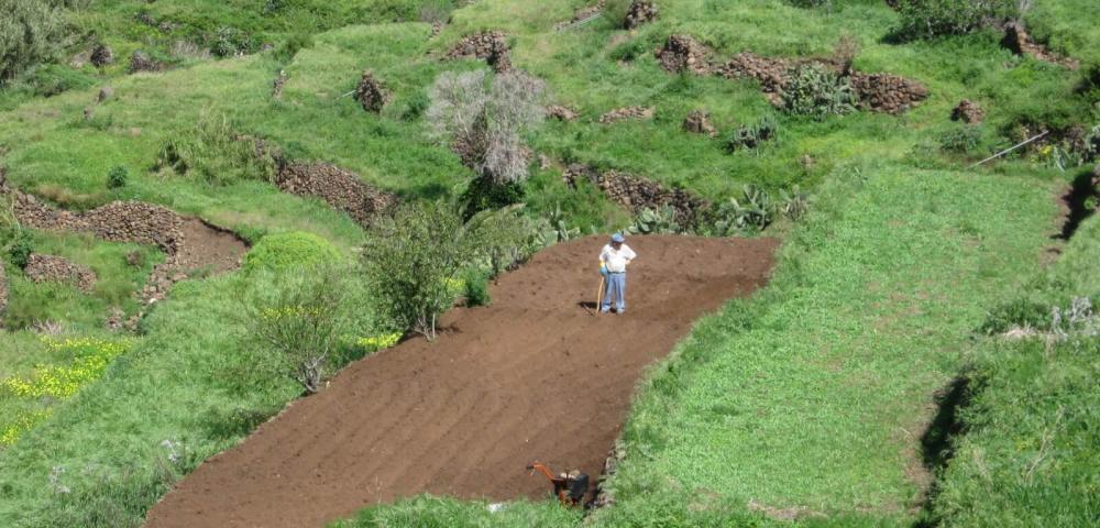 Kanarski otoki, Tenerife, podeželje