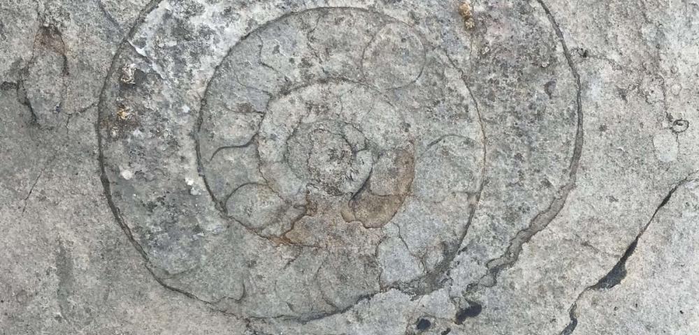 Vandrovc-Globetrotter pohodništvo, Julijske Alpe, amonit, Dolina Triglavska jezera – Sedmera jezera