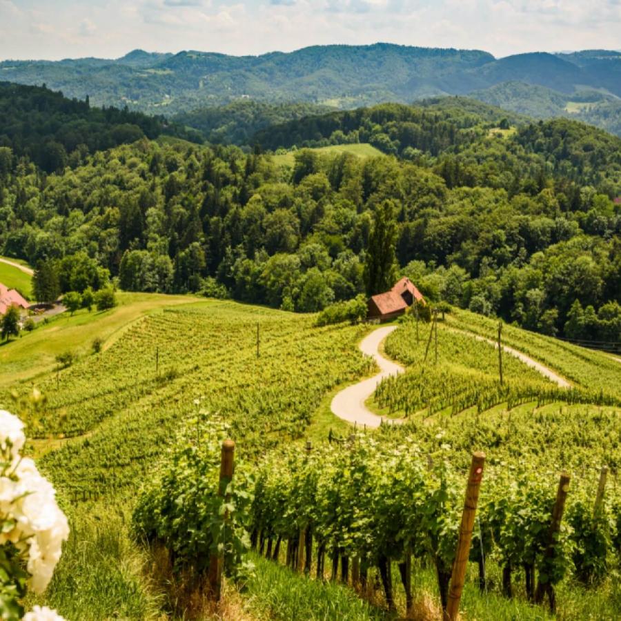 Vandrovc-Globetretter exploring Pannonian Basin part of Slovenia