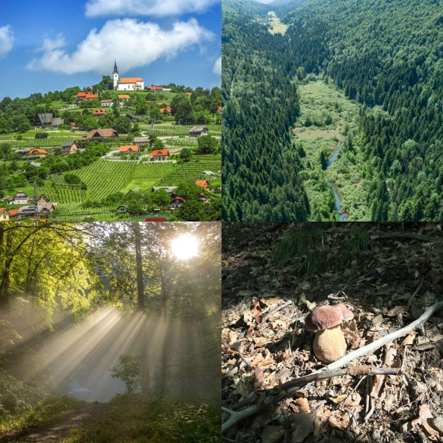 Vandrovc-Globetretter exploring Balkan peninsula/Dinaric Alps part of Slovenia