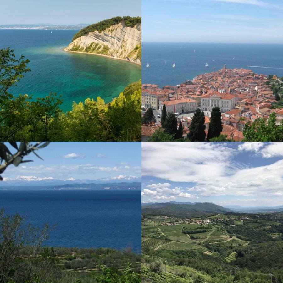 Vandrovc-Globetretter exploring Adriatic/Mediterranean part of Slovenia