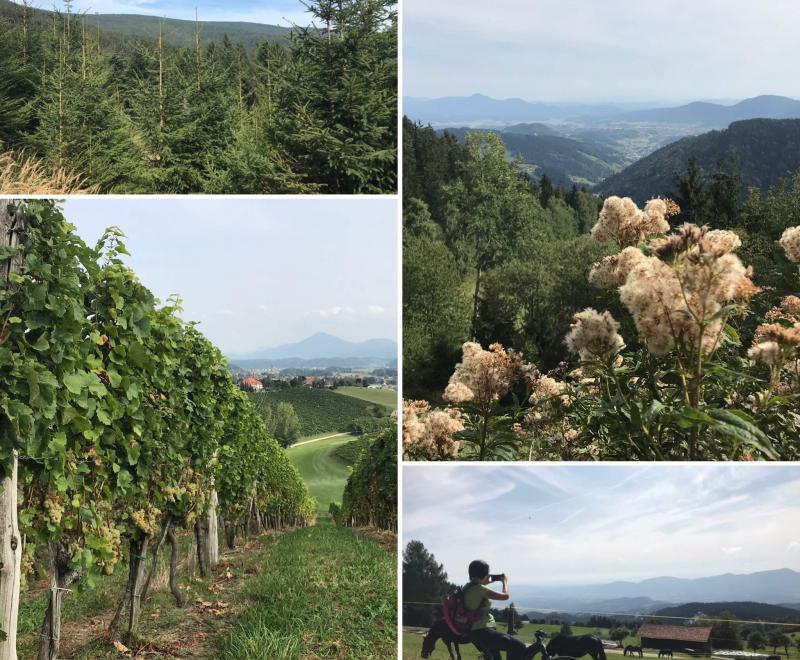 Vandrovc-Globetrotter bike tour, Electric bike, E-bike