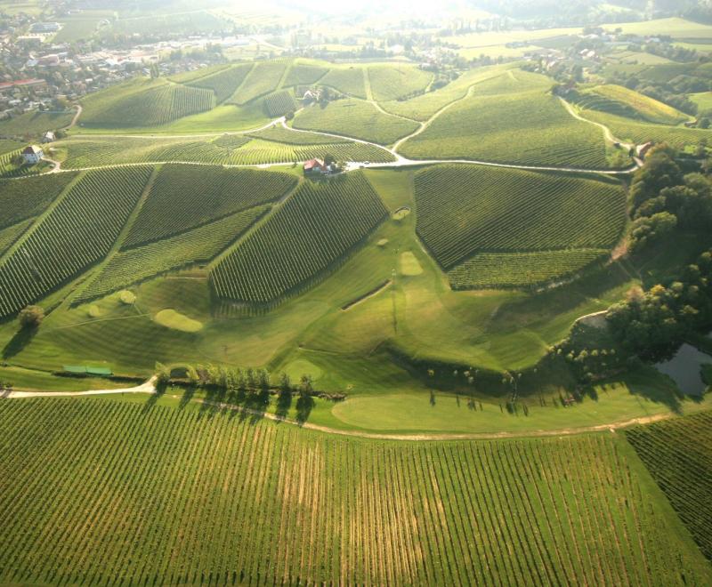 Golden hill, Slovenske Konjice, Slovenia
